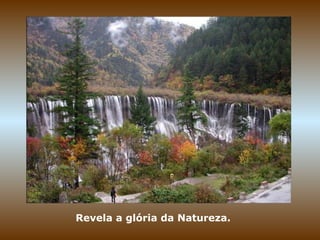 Revela a glória da Natureza.
 