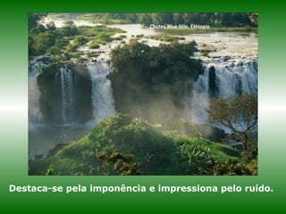 Chutes Blue Nile, Éthiopie
Destaca-se pela imponência e impressiona pelo ruído.
 