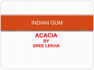 ACACIA
BY
SREE LEKHA
INDIAN GUM
 