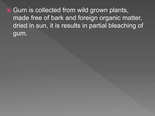  Gum is collected from wild grown plants,
made free of bark and foreign organic matter,
dried in sun, it is results in partial bleaching of
gum.
 