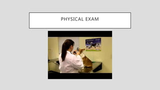 PHYSICAL EXAM
 
