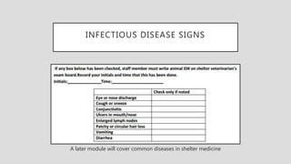 INFECTIOUS DISEASE SIGNS
A later module will cover common diseases in shelter medicine
 