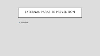 EXTERNAL PARASITE PREVENTION
• Frontline
 