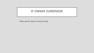 IF OWNER SURRENDER
• What specific steps for these animals
 