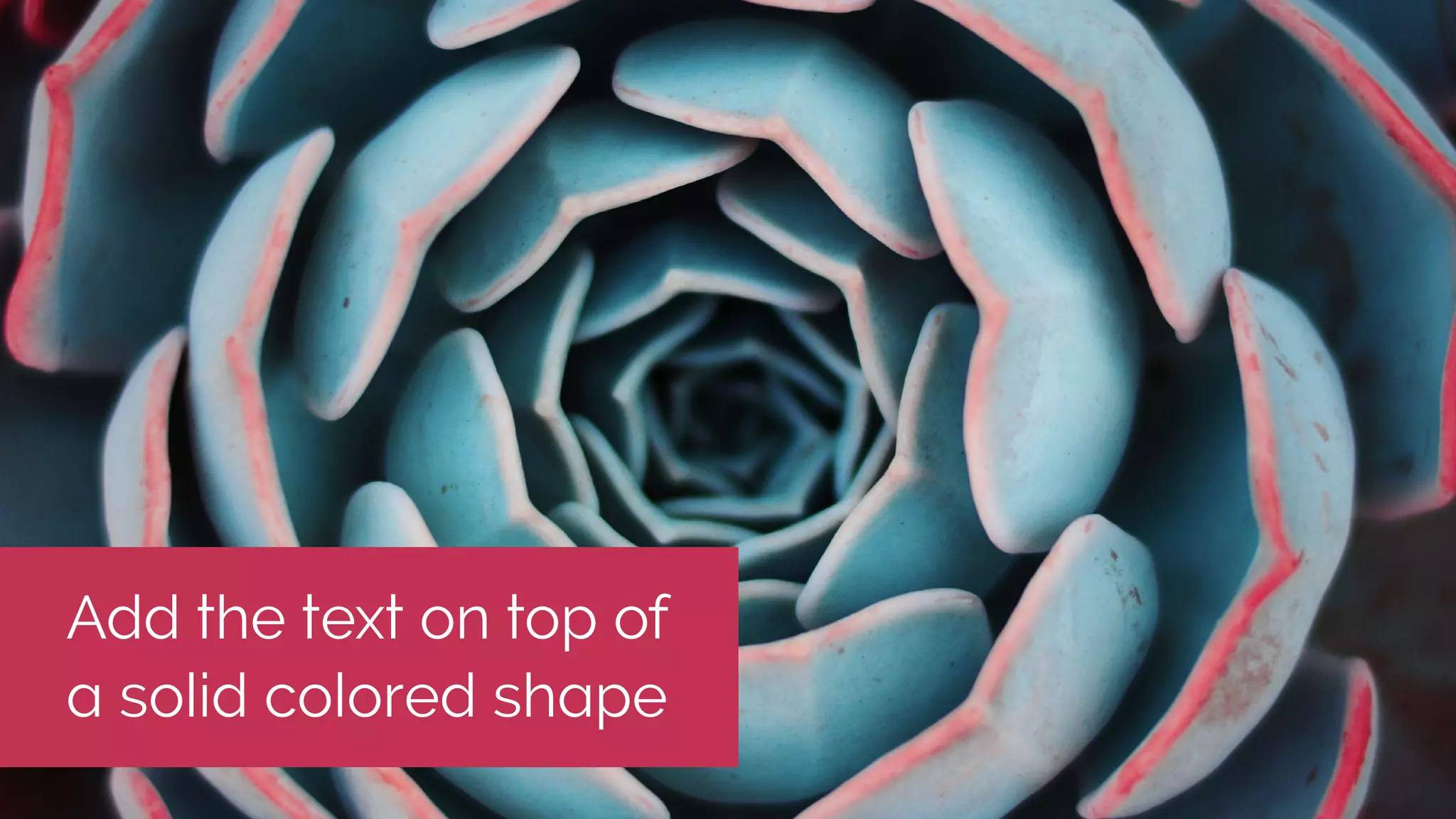 Add the text on top of
a solid colored shape
 