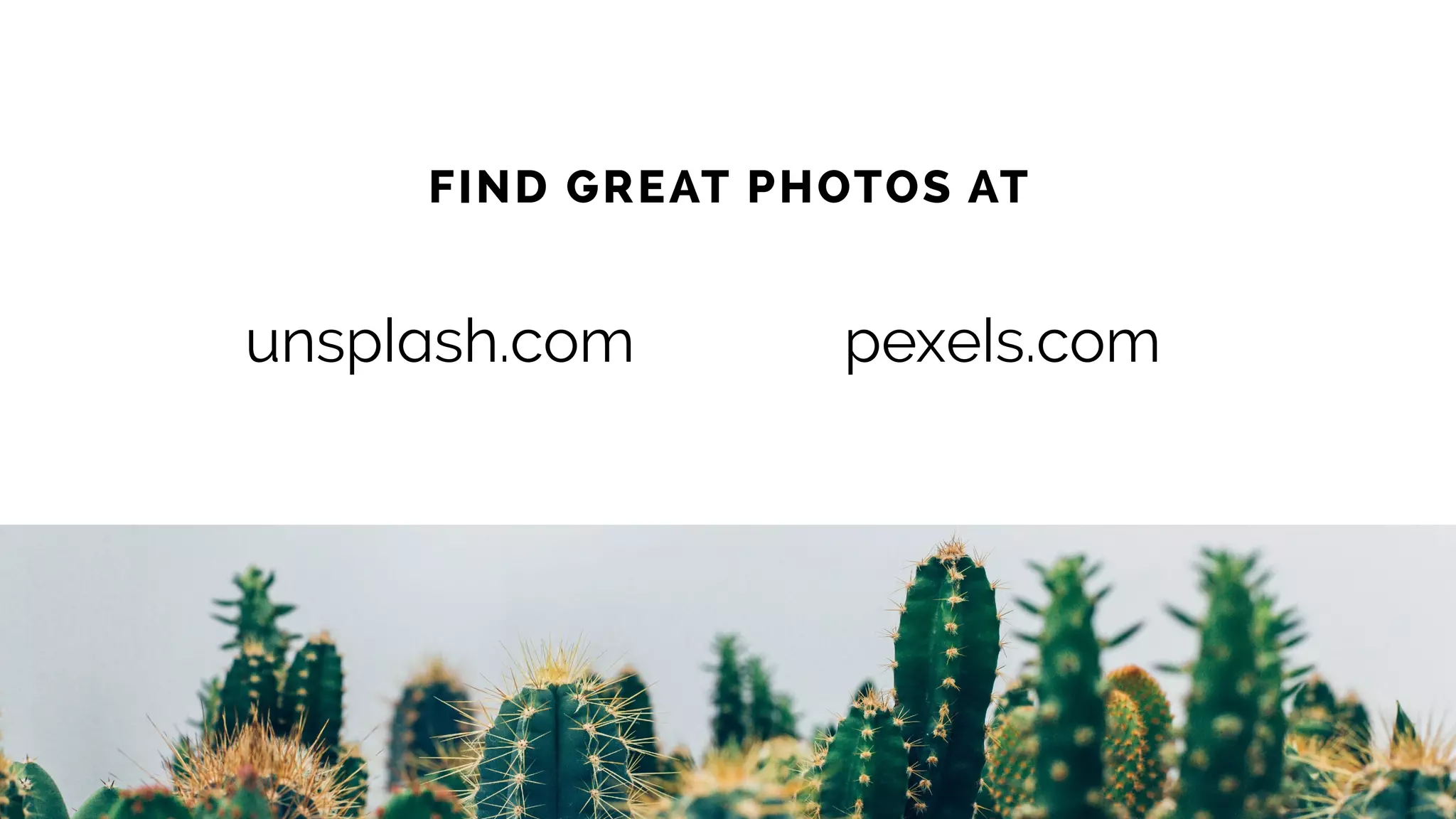 FIND GREAT PHOTOS AT
unsplash.com pexels.com
 