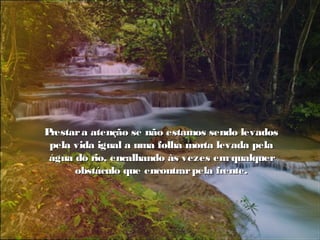 Prestara atenção se não estamos sendo levadosPrestara atenção se não estamos sendo levados
pela vida igual a uma folha morta levada pelapela vida igual a uma folha morta levada pela
água do rio, encalhando às vezes em qualquerágua do rio, encalhando às vezes em qualquer
obstáculo que encontrarpela frente.obstáculo que encontrarpela frente.
 