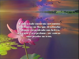 A vida a todo momento nos mostraA vida a todo momento nos mostra
o desapego na florque desabrochao desapego na florque desabrocha
e depois vai perdendo sua beleza,e depois vai perdendo sua beleza,
seu vigore seu perfume, até caíremseu vigore seu perfume, até caírem
suas pétalas na terra.suas pétalas na terra.
 