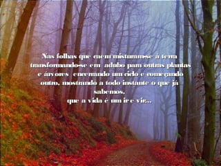 Nas folhas que caem misturam-se à terraNas folhas que caem misturam-se à terra
transformando-se em adubo para outras plantastransformando-se em adubo para outras plantas
e árvores encerrando um ciclo e começandoe árvores encerrando um ciclo e começando
outro, mostrando a todo instante o que jáoutro, mostrando a todo instante o que já
sabemos,sabemos,
que a vida é um ire vir...que a vida é um ire vir...
 