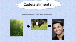 Cadeia alimentar
Podemos representar : Capim → boi → ser humano
 