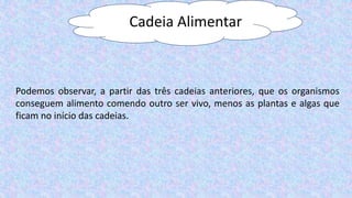 Cadeia Alimentar
Podemos observar, a partir das três cadeias anteriores, que os organismos
conseguem alimento comendo outro ser vivo, menos as plantas e algas que
ficam no início das cadeias.
 