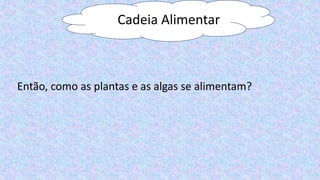 Cadeia Alimentar
Então, como as plantas e as algas se alimentam?
 