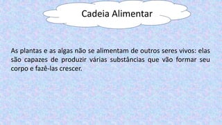 Cadeia Alimentar
As plantas e as algas não se alimentam de outros seres vivos: elas
são capazes de produzir várias substâncias que vão formar seu
corpo e fazê-las crescer.
 