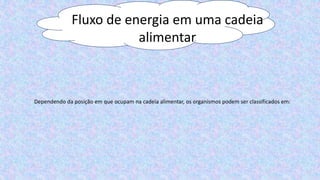Fluxo de energia em uma cadeia
alimentar
Dependendo da posição em que ocupam na cadeia alimentar, os organismos podem ser classificados em:
 