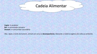 Cadeia Alimentar
Capim → produtor
Boi → consumidor primário
Homem → consumidor secundário
Obs.: Após a morte do homem, entram em cena os decompositores, liberando a matéria orgânica de volta ao ambiente.
 