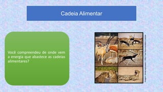 Você compreendeu de onde vem
a energia que abastece as cadeias
alimentares?
Cadeia Alimentar
Imagem:
Ismail.alghussein
/
GNU
Free
Documentation
License
 