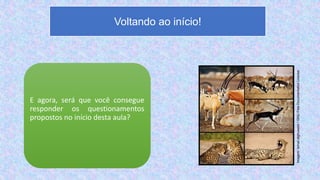 E agora, será que você consegue
responder os questionamentos
propostos no início desta aula?
Voltando ao início!
Imagem:
Ismail.alghussein
/
GNU
Free
Documentation
License
 