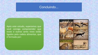 Após este estudo, esperamos que
você consiga compreender que
esses e outros seres vivos estão
ligados pela cadeia alimentar, que
é formada por:
Concluindo...
Imagem:
Ismail.alghussein
/
GNU
Free
Documentation
License
 