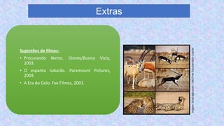 Extras
Sugestões de filmes:
• Procurando Nemo. Disney/Buena Vista,
2003.
• O espanta tubarão. Paramount Pictures,
2004.
• A Era do Gelo. Fox Filmes, 2001.
Imagem:
Ismail.alghussein
/
GNU
Free
Documentation
License
 