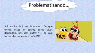 Problematizando...
Sol, capim, boi, ser humano... De que
forma esses e outros seres vivos
dependem uns dos outros? E de que
forma eles dependem do Sol???
 