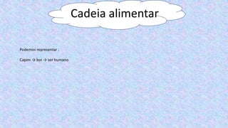Cadeia alimentar
Podemos representar :
Capim → boi → ser humano
 