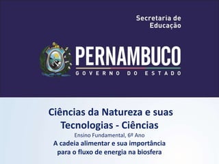 Ciências da Natureza e suas
Tecnologias - Ciências
Ensino Fundamental, 6º Ano
A cadeia alimentar e sua importância
para o fluxo de energia na biosfera
 