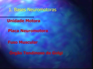 1. Bases Neuromotoras Unidade Motora Placa Neuromotora Fuso Muscular Órgão Tendinoso de Golgi 