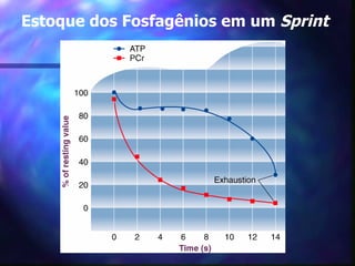 Estoque dos Fosfagênios em um  Sprint 