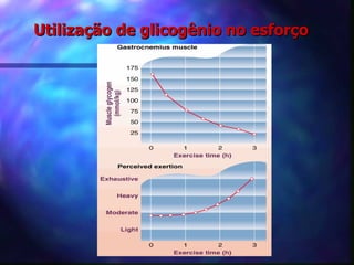Utilização de glicogênio no esforço 