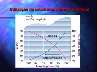 Utilização de substratos durante o esforço 