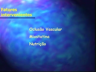 Fatores intervenientes Oclusão Vascular Miostatina Nutrição 