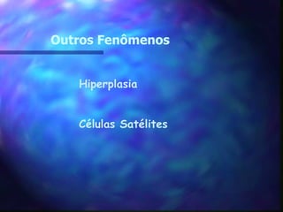 Outros Fenômenos Hiperplasia Células Satélites 