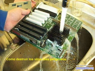 Como destruir los virus mas peligrosos 
