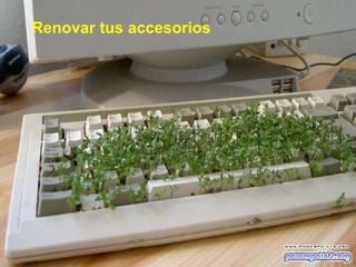 Renovar tus accesorios 