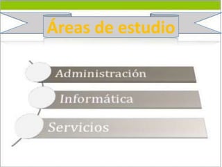 Áreas de estudio
 