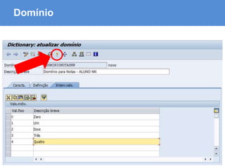 ABAP - Advanced Business Application Programming
Domínio
 