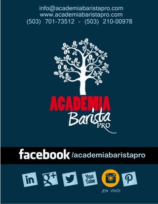 Barista en Guatemala - Academia barista pro