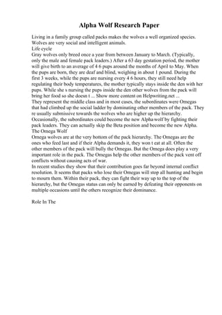 Alpha Wolf Research Paper
Living in a family group called packs makes the wolves a well organized species.
Wolves are very social and intelligent animals.
Life cycle
Gray wolves only breed once a year from between January to March. (Typically,
only the male and female pack leaders.) After a 63 day gestation period, the mother
will give birth to an average of 4 6 pups around the months of April to May. When
the pups are born, they are deaf and blind, weighing in about 1 pound. During the
first 3 weeks, while the pups are nursing every 4 6 hours, they still need help
regulating their body temperatures, the mother typically stays inside the den with her
pups. While she s nursing the pups inside the den other wolves from the pack will
bring her food so she doesn t ... Show more content on Helpwriting.net ...
They represent the middle class and in most cases, the subordinates were Omegas
that had climbed up the social ladder by dominating other members of the pack. They
re usually submissive towards the wolves who are higher up the hierarchy.
Occasionally, the subordinates could become the new Alphawolf by fighting their
pack leaders. They can actually skip the Beta position and become the new Alpha.
The Omega Wolf
Omega wolves are at the very bottom of the pack hierarchy. The Omegas are the
ones who feed last and if their Alpha demands it, they won t eat at all. Often the
other members of the pack will bully the Omegas. But the Omega does play a very
important role in the pack. The Omegas help the other members of the pack vent off
conflicts without causing acts of war.
In recent studies they show that their contribution goes far beyond internal conflict
resolution. It seems that packs who lose their Omegas will stop all hunting and begin
to mourn them. Within their pack, they can fight their way up to the top of the
hierarchy, but the Omegas status can only be earned by defeating their opponents on
multiple occasions until the others recognize their dominance.
Role In The
 
