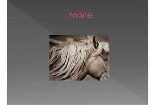 Academic Discourse And Text Complexity In The Classroom