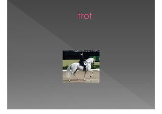 Academic Discourse And Text Complexity In The Classroom