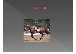 Academic Discourse And Text Complexity In The Classroom