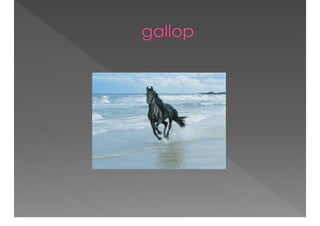 Academic Discourse And Text Complexity In The Classroom