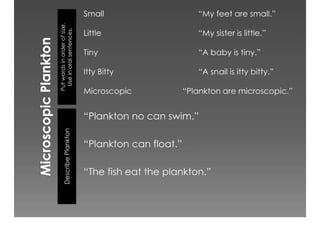 Academic Discourse And Text Complexity In The Classroom