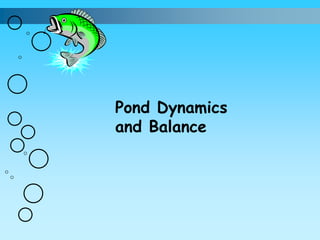 Pond Dynamics
and Balance
 