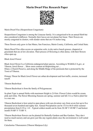 Marin Dwarf Flax Research Paper
Marin Dwarf Flax (Hesperolinon Congestum)
Hesperolinon Congestum is among the Linaceae family. It is categorized to be an annual Herb but
also considered wildflower. Normally their leaves are not planar but linear. Their flowers are
mostly congested in clusters, with slender stems that are 4 6 inches long.
These flowers only grow in San Mateo, San Francisco, Marin County, California, and United State.
Marin Dwarf Flax often occurs on serpentine soils, in dry native bunch grasses, chaparral or
grasslands that are at low elevation. Their process of flowering is often dense, with their flowers
often open up.
Black Jewel Flower
Black Jewel flower Is a California endangered plant species. According to Wildlife.CA.gov, at
Tiburon, Jewel flower ... Show more content on Helpwriting.net ...
Hilary s Church Preserve, and along the Middle Ridge of the peninsula that is protected by the
Town of Tiburon.
Primary Threat for Black Jewel Flower are urban development and foot traffic, erosion, increased
runoff.
Tiburon Buckwheat
Tiburon Buckwheat is from the family of Polygonaceae.
Its plant Type is annual Herbs with maximum Height is 2.0 feet. Flower Colors would be cream,
pink and white. The flower Blooming Seasons are spring, summer and fall. It is a Native plant but
is a rare one.
Tiburon Buckwheat is best suited in open places with sun elevation vary from seven feet up to five
thousand seven hundred and eighty feet. Annual Precipitation can be 15.6 to 66.0 while summer
precipitation from 0.19 to 1.41 . Typical coldest month can be from 30.1В° F 49.9В° F and hottest
month 59.8В° F 75.0В° F.
Tiburon Buckwheat flowers can be planted for Butterfly Gardens and Bee Gardens. They don t
need as much nursery and can grow just like any regular plants once the environment is well suited
for them.
Calochortus Tiburonensis (Tiburon Mariposa Lily)
 