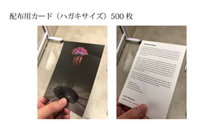 配布用カード（ハガキサイズ）500 枚
 
