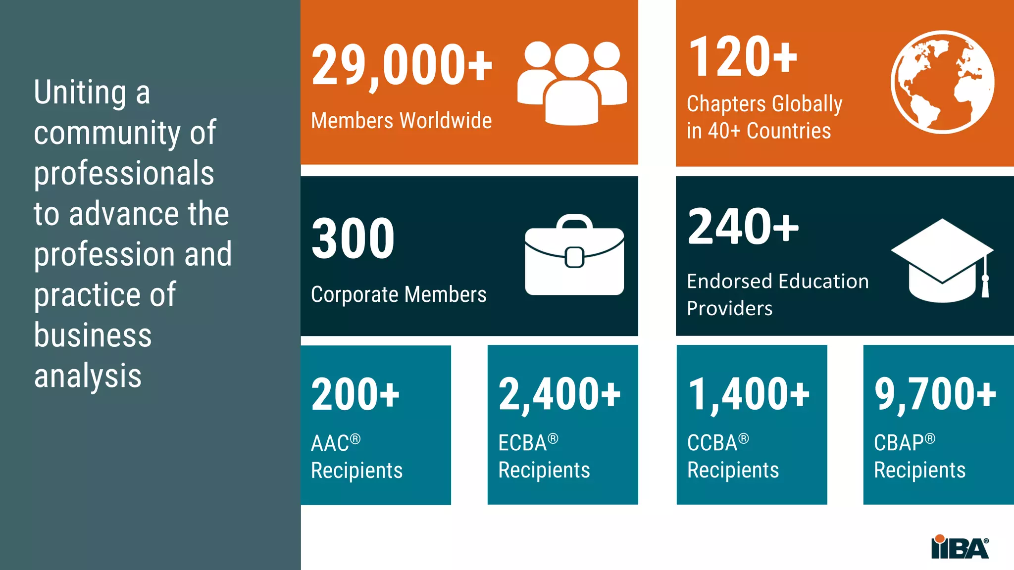 Uniting a
community of
professionals
to advance the
profession and
practice of
business
analysis
29,000+
Members Worldwide
300
Corporate Members
120+
Chapters Globally
in 40+ Countries
240+
Endorsed Education
Providers
2,400+
ECBA®
Recipients
1,400+
CCBA®
Recipients
9,700+
CBAP®
Recipients
200+
AAC®
Recipients
 