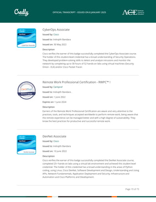 My Credly profile transcript 2024 12 31.pdf