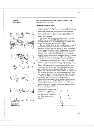 U n it 7

Stage 2

Cl assify i n g

1 Read the fol l owi ng ca refu l ly. Then complete Diagram 2 ('The
Classification of B i rds') below.
The Classification of B i rds

10

15

20

25

30

35

Birds are instantly recognisable creatu res. Perhaps it is their
ability to fly that causes this. Some people might consider that
their shape was the most distinguishing feature. Everyone,
however, agrees on the characteristics that a bird possesses:
two wi ngs, feathers, two legs, a toot h l ess bil l or beak, warm
blood, and it lays eggs .
The modern system of c l assifyi ng birds is like a pyramid,
with the base formed by 85 1 4 different species. A convenient
definition of species is: an interbreeding group of birds which
do not norma l l y mate with other such grou ps.
The next division above the species is the genus, a gro u p of
species show i n g strong simi larities. The scientific name of a
bird gives the gen us first, then the species. Th us, the scientific
( Latin) name of the golden eagle is 'Aq uila ch rysaetos' (eagle,
golden). When there are strong points of similarity between
one gen us and another, these rel ated genera are grou ped
together and are said to belong to the same family. The names
of the 2 1 5 families of birds always end in 'idae' . The go lden
eagle, for i n stance, is one of the ' Fa l conidae' (fa l con fam i ly).
Fami lies with broadly simi l a r characteristics are grou ped
together into 27 orders, whose names end in 'iformes' . The
golden eagl e fa l l s into the order of ' Fa l coniformes' (fa l con- like
birds) . The la rgest order is ' Passeriformes' or perching birds.
This contains 63 families, and more species than all the rest
put together. The feet are designed so that they can grip a
perch, with th ree toes in front and one behin d. I n addition, a l l
are known a s song-birds . Two large fa mi lies within this order
are spa rrows, with 1 5 5 species, and crows, with 1 00 species .
Fin a l l y, al l of the orders make up the class 'Aves' (birds).
This system of c l assification has enabled scientists to
differentiate 85 1 4 species of birds. Pl acing a bird in the right
fami ly depends upon a n u mber of featu res. Among them are
externa l characteristics, such as the shape of the beak and
feet, and the colour pattern of the feathers. However, at the
level of order, the next higher
category, distinctions are
based on such featu res as the
structu re of the sku I I , the
a rrangement of the m u sc l es in
the l egs, and the condition of
the you ng at the time of
hatching.

Top: Golden eagle
Centre: Sparrow
Bottom: Crow
Right: Skull of owl

45

 