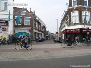 Велоинфраструктура Академического района